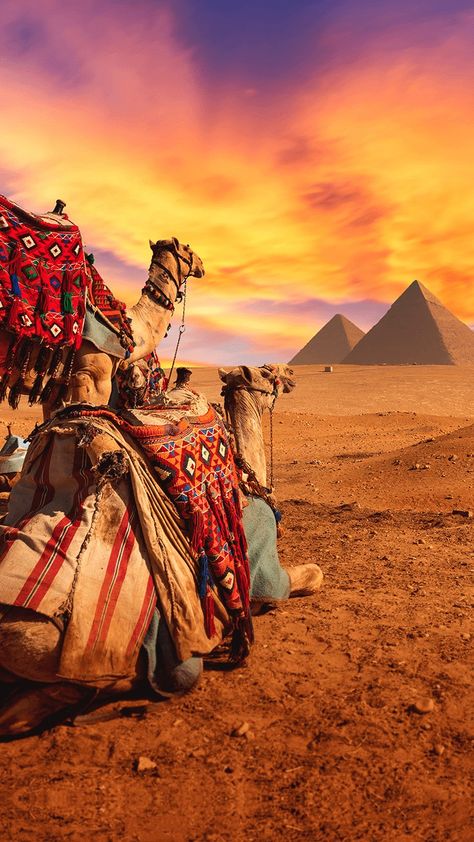 Cairo