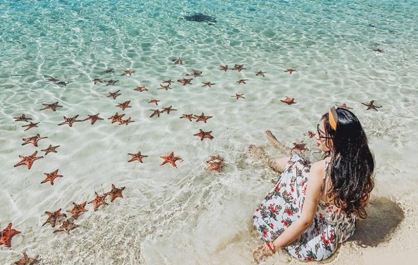 Northern Phu Quoc: Kayak Cua Can River & Starfish Beach Tour