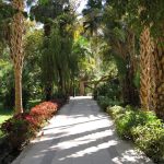 Gallery Thumbnail 2