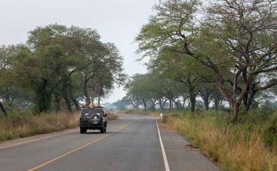 Uganda: 2-Day Murchison Falls Park Safari with Boat cruise