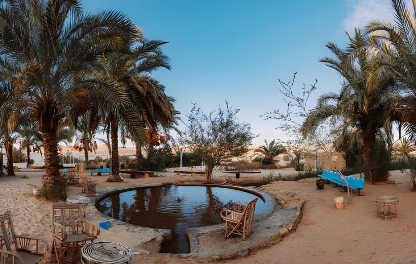 Siwa Oasis Highlights Tour