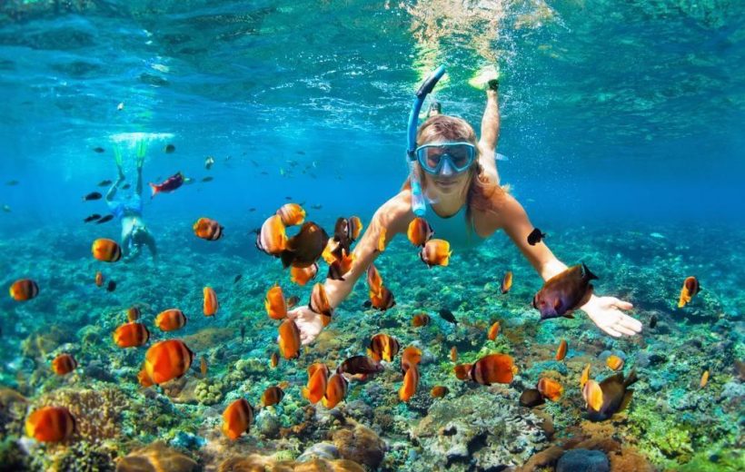 Hurghada Scuba Diving for Beginners – Full-Day Red Sea Diving Trip with 2 Dives, Lunch & Transfer