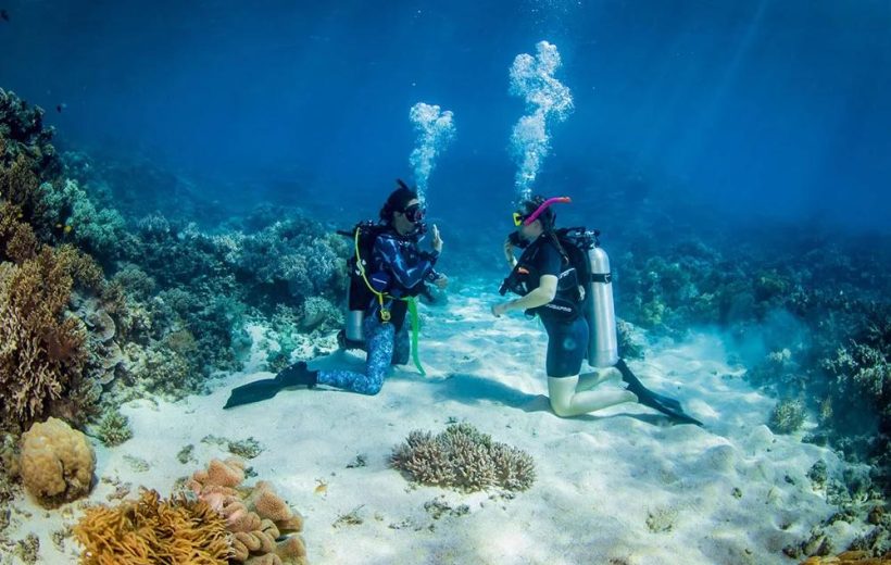 2 Scuba Diving for Beginners Day-Trip with Lunch in Marsa Alam
