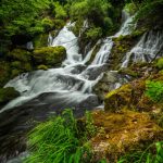 Gallery Thumbnail 10