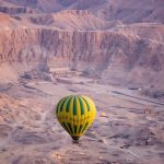 Gallery Thumbnail 12